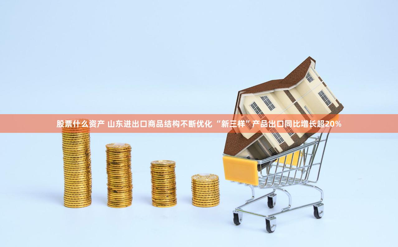 股票什么资产 山东进出口商品结构不断优化 “新三样”产品出口同比增长超20%