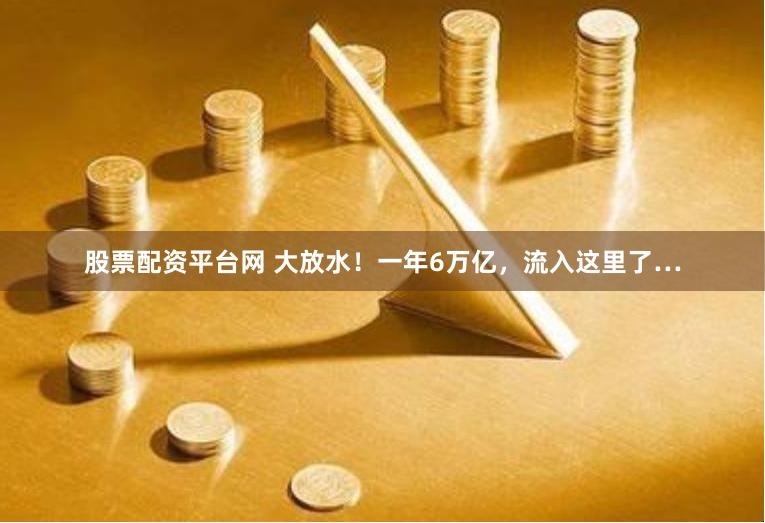 股票配资平台网 大放水!一年6万亿,流入这里了…