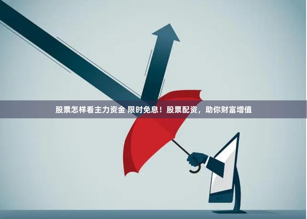 股票怎样看主力资金 限时免息!股票配资,助你财富增值