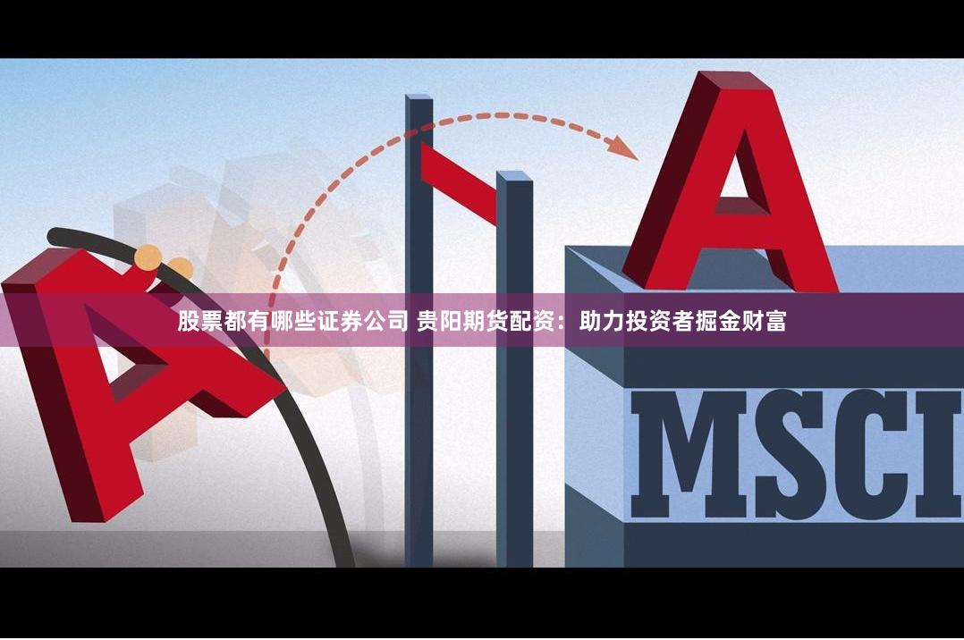 股票都有哪些证券公司 贵阳期货配资:助力投资者掘金财富