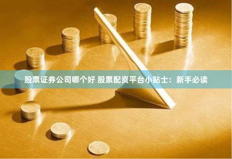 股票证券公司哪个好 股票配资平台小贴士:新手必读