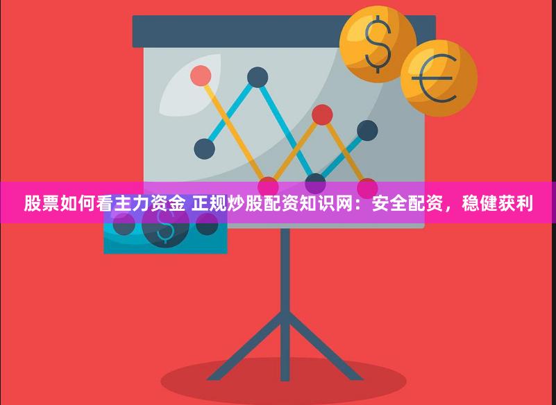 股票如何看主力资金 正规炒股配资知识网:安全配资,稳健获利